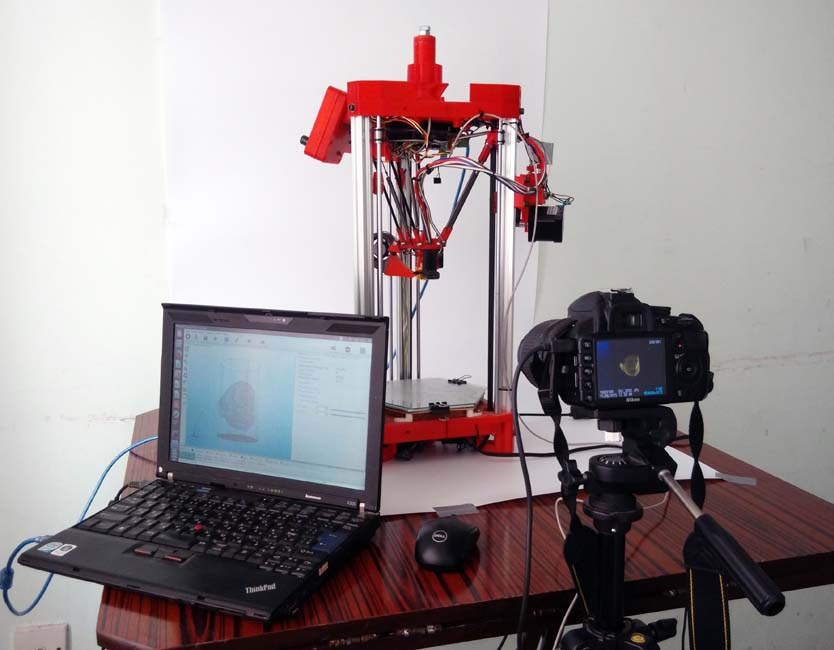 sliced light color  9